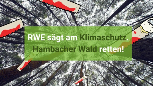 Rodung Hambacher Wald trotz geplantem Kohleausstieg