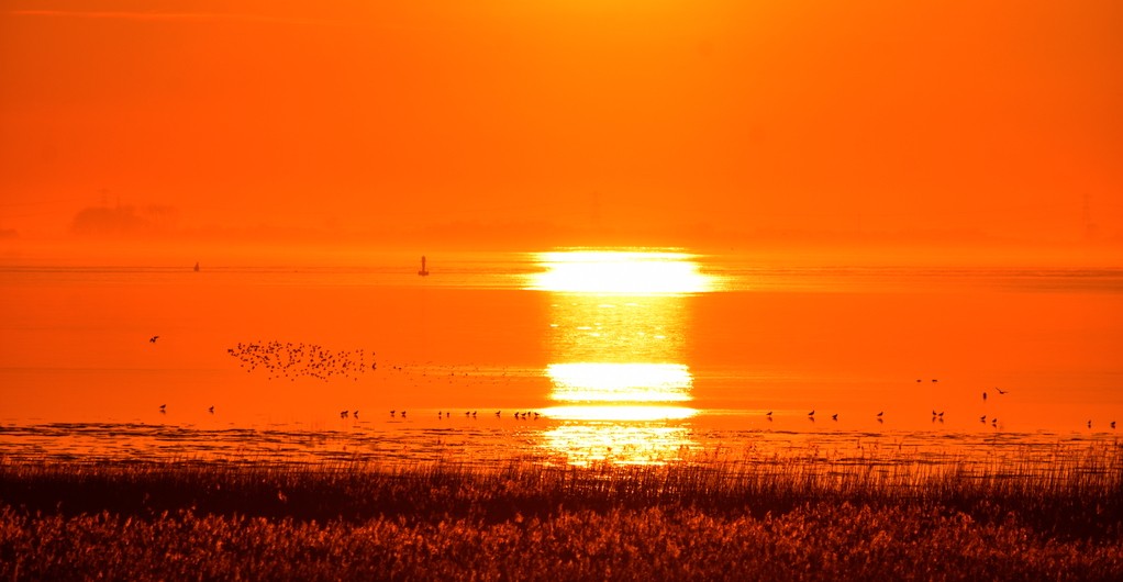 Dieser Lebensraum wird bereits in 10 Jahren im Meer versunken sein