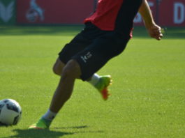 1FC Köln Fußball Bundesliga