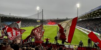 VFL Bochum gegen den 1.FC Köln für Euch dabei Foto (c) Stadionkind @danielGmann