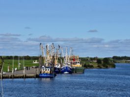 Hafen von Greetsiel