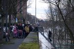 Hochwasser Koeln 2018