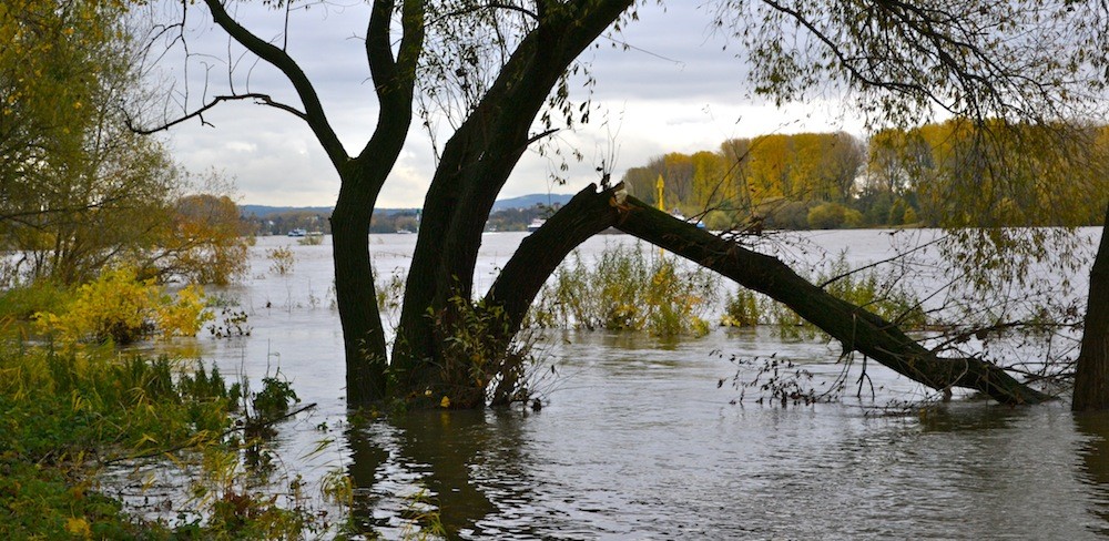 Hochwasser Köln