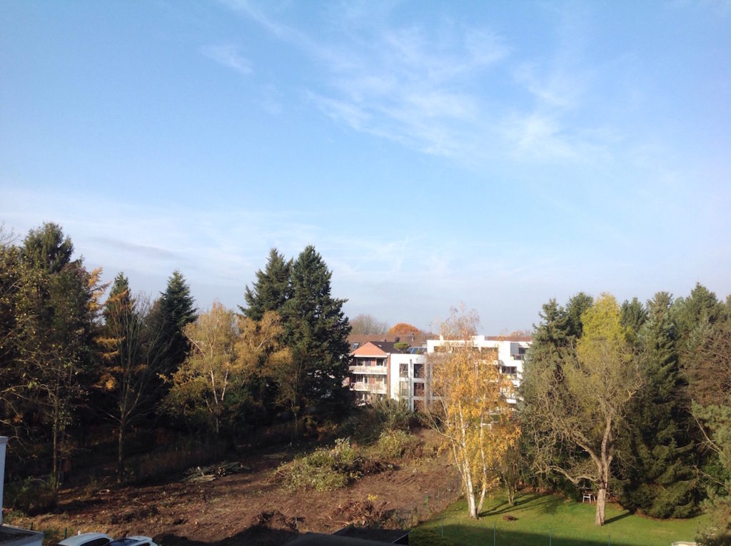 So wurde am Heidelweg Stück für Stück gerodet nur damit keiner sagen kann da gab es keine Bäume