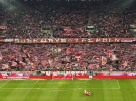 1. FC Köln gegen FC Union Berlin Foto @ Stadionkind @beyermarc.bsky.social