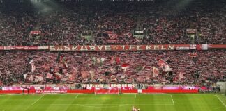 1. FC Köln gegen FC Union Berlin Foto @ Stadionkind @beyermarc.bsky.social