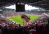 1. FC Köln holt die volle Punktzahl in Augsburg Foto Stadionkind (c)@schoti75