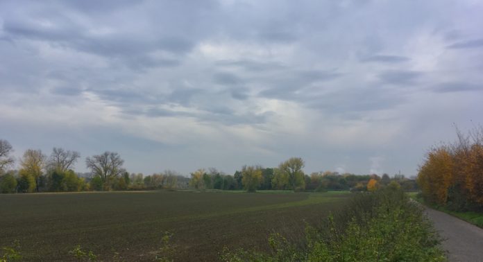 Naturschutzgebiet Sürther Auen 2019