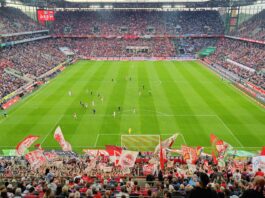 1. FC Köln gegen Hertha BSC Berlin Foto (c) Stadionkind Micha @schoti75