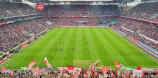 1. FC Köln gegen Hertha BSC Berlin Foto (c) Stadionkind Micha @schoti75