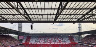 1. FC Köln gegen VFB Stuttgart Heimspiel in Müngersdorf
