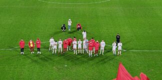 1. FC Köln gegen 1.FSV Mainz 05 in Müngersdorf Foto Stadionkind @schoti75