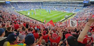 Karneval - 1.FC Köln gegen TSG Hoffenheim 2024 Foto Stadionkind @schoti75