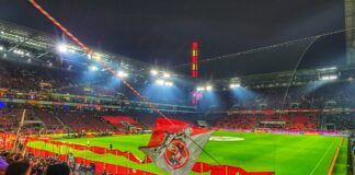 Schönes Foto von 1.FC Köln gegen SV werder Bremen (C) by Stadionkind Holger @drissejal