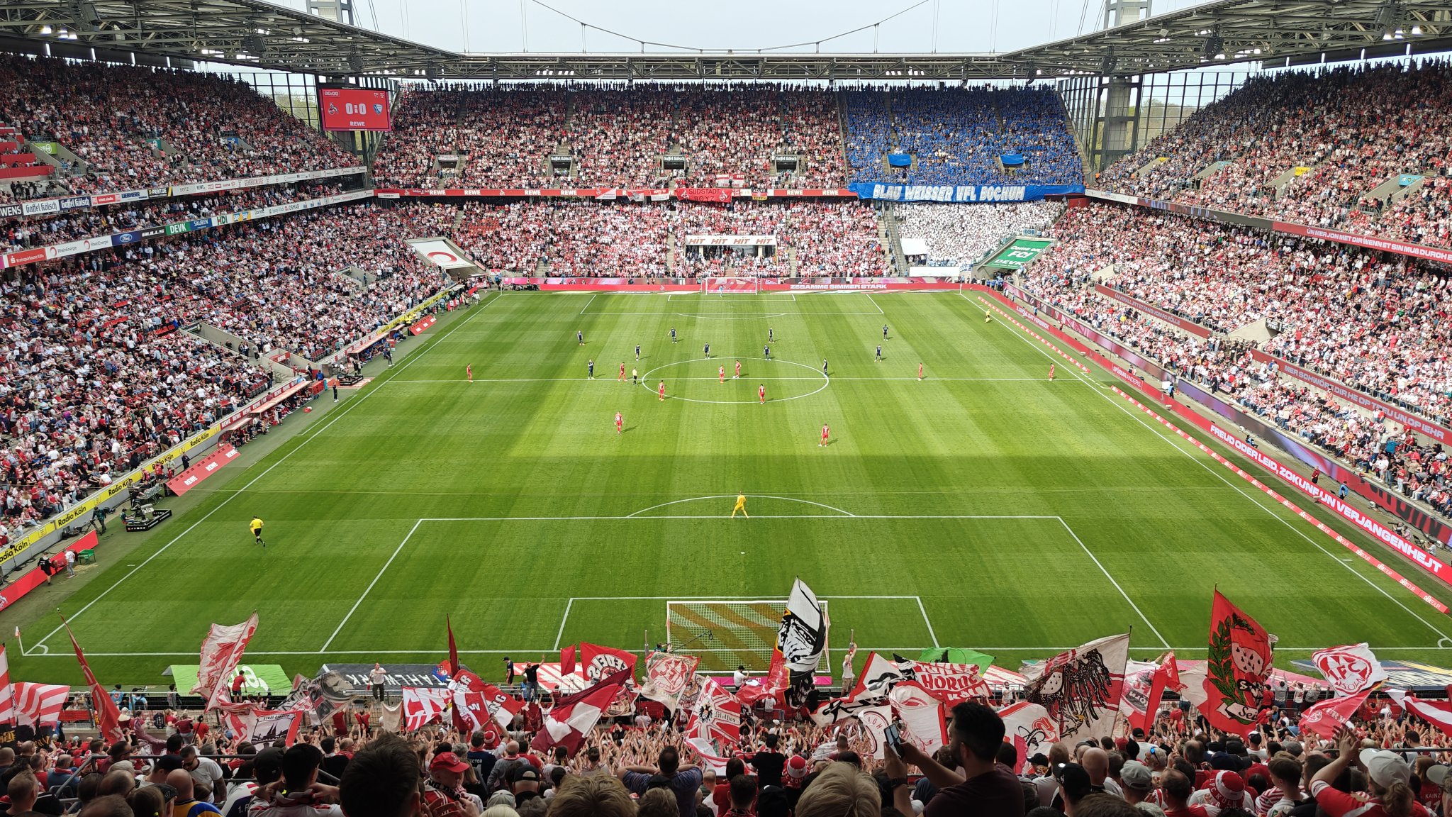 1 .FC Köln vs. VFL Bochum Foto (c) Stadionkind @schoti75