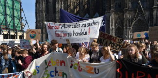 #Fridaysforfuture in Köln am Dom