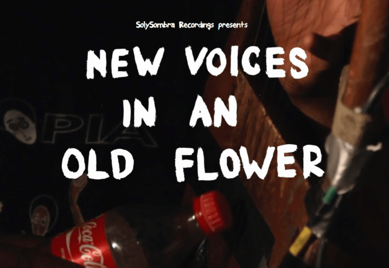 New Voices in an old Flower