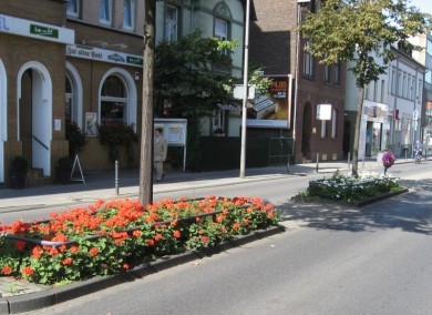 Köln News - Sommerliche Beete Rodenkirchen