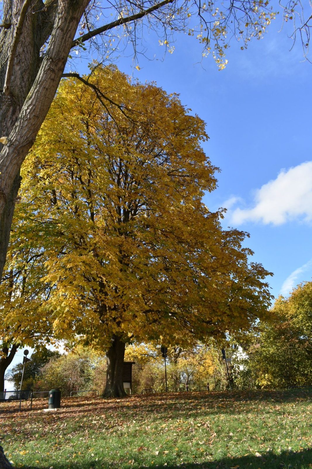 Herbstfarben