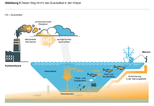 greenpeace- giftige kohle