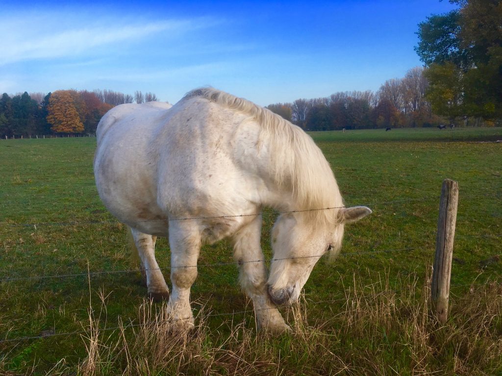 Beauty bei der Körperpflege