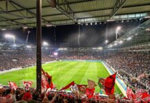 1. FC Köln gegen Bayer 04 in Müngersdorf Foto Stadionkind @buedchen_michablueskysocial