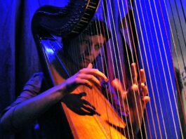 Kathrin Pechlof mit Matthias Schriefls Brazilian Motions plus Strings im Studio 672 Foto(c) Gerhard Richter Köln