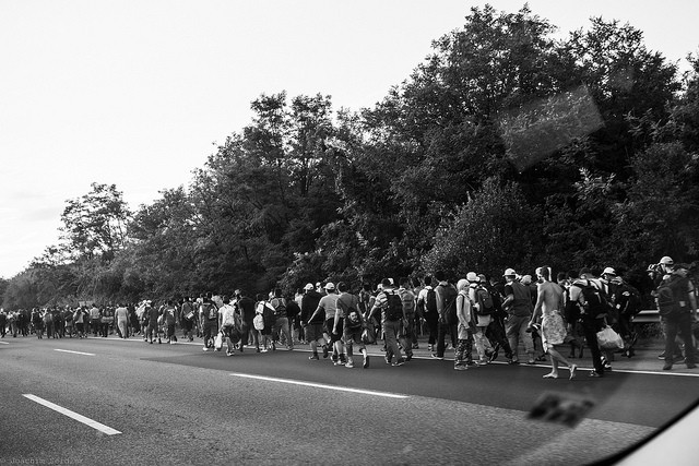 Refugees on the Hungarian M1 highway on their march towards the Austrian border Foto: Flickr photog_at