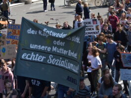 Weltklimatag Demonstration in Köln mit Fridays for Future auf die Strasse